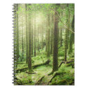 Suche nach irland kleine notizbücher Landschaft