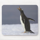 Suche nach gentoo mousepads Pinguine