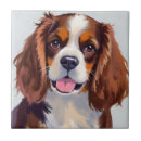 Suche nach cocker fliesen Spaniel