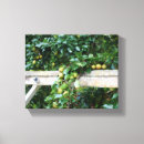 Suche nach birne leinwandbilder Obst