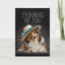 Suche nach sheltie karten Schafhund