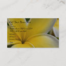 Suche nach frangipani visitenkarten Hawaiisch