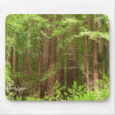 Suche nach muir mousepads Bäume