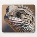 Suche nach reptil mousepads Eidechse