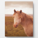 Suche nach tiere fotoplatten Landschaft