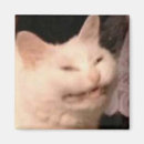 Suche nach meme magnete Katze