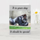 Suche nach ape karten Gorilla