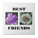 Suche nach freunde fliesen Jede person