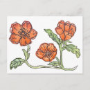 Suche nach orange mohnblume karten Jede person