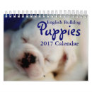 Suche nach welpe kalender Tierliebhaber