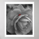 Suche nach wanzen poster Jede person