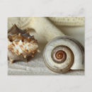 Suche nach bunte fische postkarten Jede person