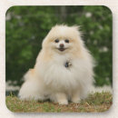 Suche nach loulou untersetzer Sitzen