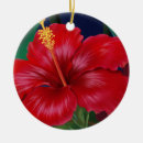 Suche nach paradies ornamente Hawaiisch