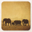 Suche nach afrikanischer elefant untersetzer Kalb
