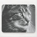 Suche nach großes mit augen mousepads Katze