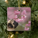 Suche nach sakura ornamente Tier