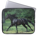 Suche nach thoroughbred laptop schutzhüllen Bob langrish