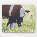 Suche nach kälber mousepads Landwirtschaft