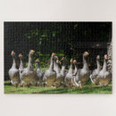 Suche nach grau puzzle Lustig