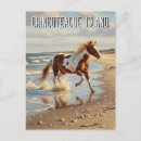 Suche nach chincoteague postkarten Natur