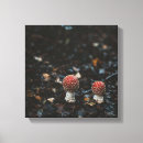 Suche nach pilz leinwandbilder Rot