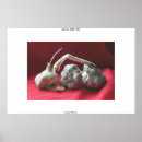 Suche nach knoblauch poster Stillleben
