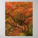 Suche nach acer poster Farbe