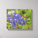 Suche nach texas leinwand leinwandbilder Natur