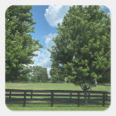Suche nach lexington aufkleber Bluegrass