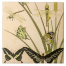 Suche nach papillon fliesen Schmetterling