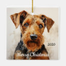 Suche nach airedale terrier ornamente Aquarell