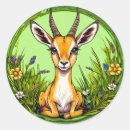 Suche nach gazelle aufkleber Natur