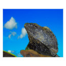Suche nach lizard poster Tierwelt