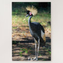 Suche nach krone puzzle Jede person