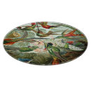 Suche nach haeckel untersetzer Kolibris