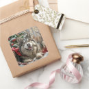 Suche nach alaskan malamute aufkleber Haustier