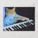Suche nach keyboard postkarten Katze
