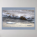 Suche nach schwimmend poster Natur