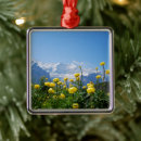 Suche nach schweizer weihnachten ornamente Blume