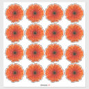 Suche nach gerbera aufkleber Blume