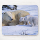 Suche nach eisbären mousepads Winter