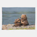 Suche nach braunbären geschirr tücher Wildtiere