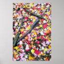 Suche nach unter boden poster Wald