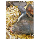 Suche nach schwein klemmbrett Für alle