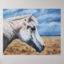 Suche nach graues pferd poster Tier