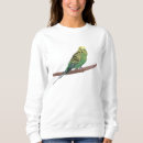 Suche nach budgerigar Haustier