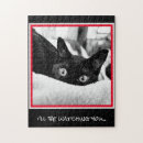 Suche nach verrückte katzen puzzle Kätzchen