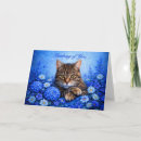 Suche nach katze und blumen karten Jede person