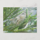 Suche nach spinner postkarten Tier